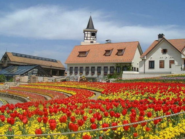 🌸 하이디의 마을(하이디노무라) 이미지 1